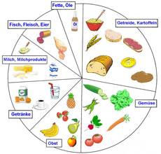Nahrungsmittelkreis.jpg